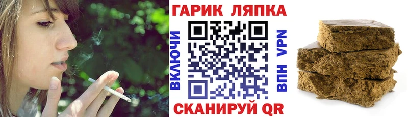 сколько стоит  Шумиха  ГАШ Premium 