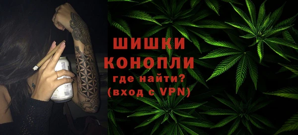 крисы Осинники